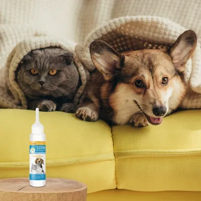 Vétoform Lotion Nettoyante Oreilles Chien et Chat - 100ml