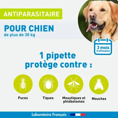 Vétoform Pipettes Antiparasitaires Grand Chien (+ de 30 kg) x3
