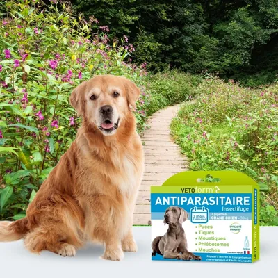 Vétoform Pipettes Antiparasitaires Grand Chien (+ de 30 kg) x3