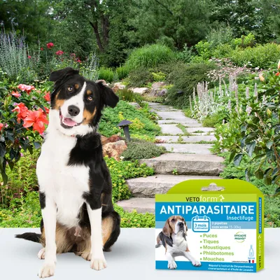 Vétoform Pipettes Antiparasitaires Chien Moyen - 3 mois