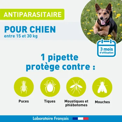 Vétoform Pipettes Antiparasitaires Chien Moyen - 3 mois