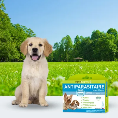 Vétoform Pipettes Antiparasitaires Petit Chien & Chiot - 3 mois