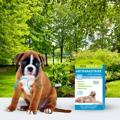 Vétoform Collier Antiparasitaire Chien & Chiot 60cm - 4 mois de protection