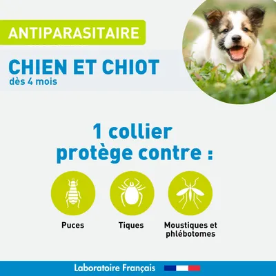 Vétoform Collier Antiparasitaire Chien & Chiot 60cm - 4 mois de protection