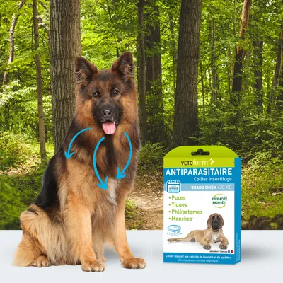 Vétoform Collier Antiparasitaire Grand Chien 75cm - 4 mois de protection Vétoform Collier Antiparasitaire Grand Chien 75cm - 4 mois de protection
