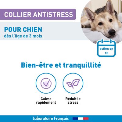 Vétoform Collier Anti-Stress Chien & Chiot