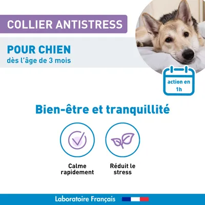 Vétoform Collier Anti-Stress Chien & Chiot - Dès 3 mois