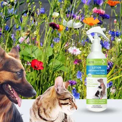Vétoform Lotion Antiparasitaire Chien & Chat - Sans Rinçage - 250ml