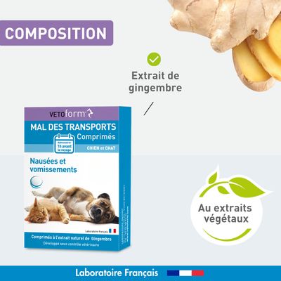 Vétoform Mal des Transports