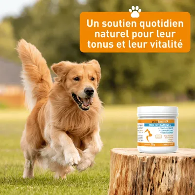 Vétoform Multivitamines - Complément Alimentaire Chien et Chat - 100gr Vétoform Multivitamines - Complément Alimentaire Chien et Chat - 100gr