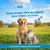 Vétoform Anti-Stress Chien & Chat - aux extraits de plantes - x20 comprimés Vétoform Anti-Stress Chien & Chat - aux extraits de plantes - x20 comprimés