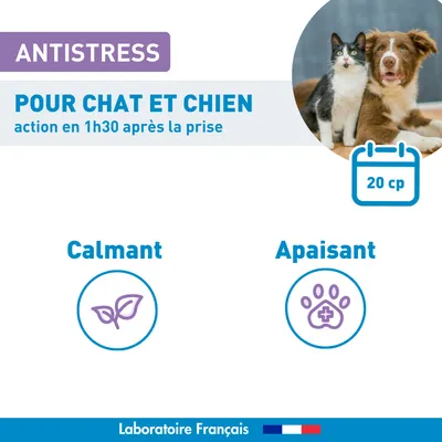 Vétoform Anti-Stress Chien & Chat - aux extraits de plantes - x20 comprimés Vétoform Anti-Stress Chien & Chat - aux extraits de plantes - x20 comprimés