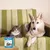 Vétoform Anti-Stress Chien & Chat - aux extraits de plantes - x20 comprimés Vétoform Anti-Stress Chien & Chat - aux extraits de plantes - x20 comprimés