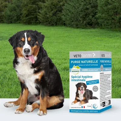Vétoform Purge Naturelle Chien Grande Race - x50 Comprimés Vétoform Purge Naturelle Chien Grande Race - x50 Comprimés
