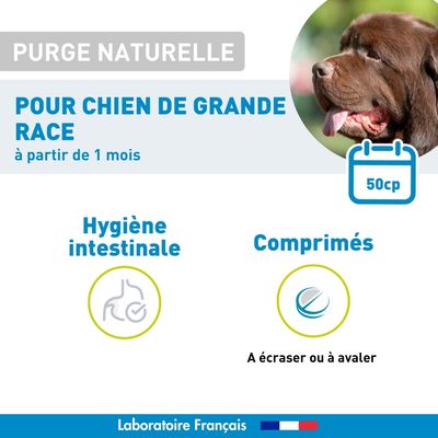 Vétoform Purge Naturelle Chien Grande Race