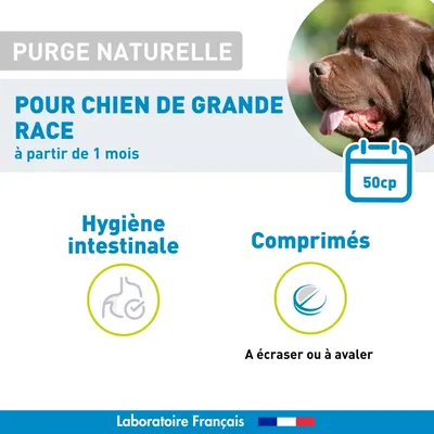 Vétoform Purge Naturelle Chien Grande Race - x50 Comprimés Vétoform Purge Naturelle Chien Grande Race - x50 Comprimés