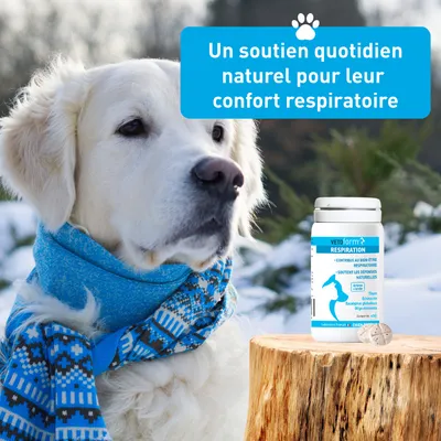 Vétoform Confort Respiratoire - Chien et Chat - x30 Comprimés Vétoform Confort Respiratoire - Chien et Chat - x30 Comprimés