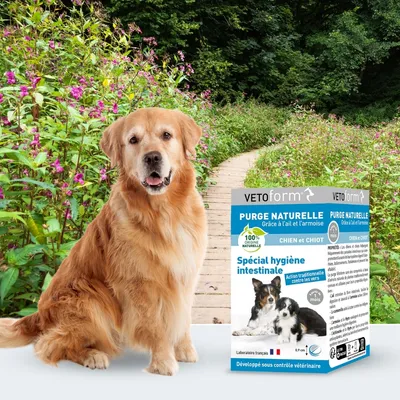 Vétoform Purge Naturelle Chien et Chiot - x50 Comprimés Vétoform Purge Naturelle Chien et Chiot - x50 Comprimés