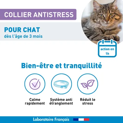 Vétoform Collier Anti-Stress Chat & Chaton - Dès 3 mois