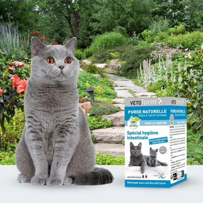 Vétoform Purge Naturelle Chat et Chaton - x50 Comprimés