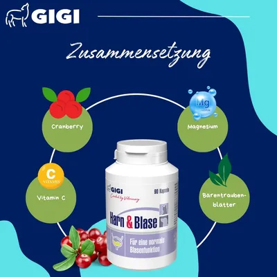 Harn & Blase bei Blasenschwäche oder Inkontinenz Mit Cranberry GIGI VET Harn & Blase bei Blasenschwäche oder Inkontinenz Mit Cranberry GIGI VET