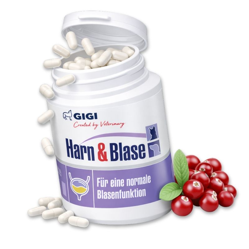 Harn & Blase bei Blasenschwäche oder Inkontinenz Mit Cranberry GIGI VET