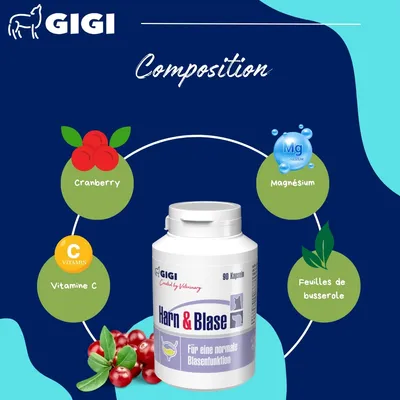 GIGI VET Soutien Vessie & Urinaire Chiens & Chats