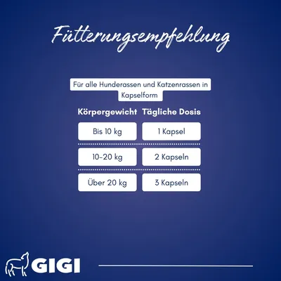 Harn & Blase bei Blasenschwäche oder Inkontinenz Mit Cranberry GIGI VET Harn & Blase bei Blasenschwäche oder Inkontinenz Mit Cranberry GIGI VET