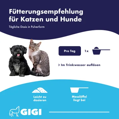 DENTAL CARE gegen Zahnbelag Zahnstein & Mundgeruch GIGI VET DENTAL CARE gegen Zahnbelag Zahnstein & Mundgeruch GIGI VET