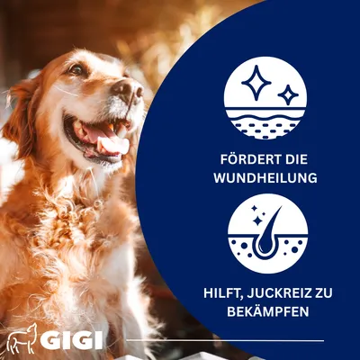 Haut & Fell Für Hunde und Katzen Anti-Juckreiz & glänzendes Fell GIGI VET