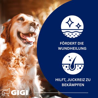 Haut & Fell Für Hunde und Katzen Anti-Juckreiz & glänzendes Fell GIGI VET