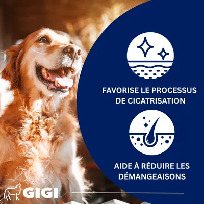 Soin Peau & Pelage Chiens & Chats Anti-Démangeaisons GIGI VET