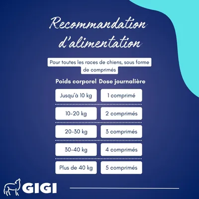 GIGI VET Articulations Chiens – Mobilité & Soutien – MSM & Boswellia