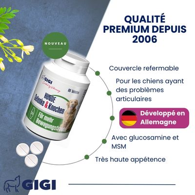Articulations Chiens – Mobilité & Soutien GIGI VET