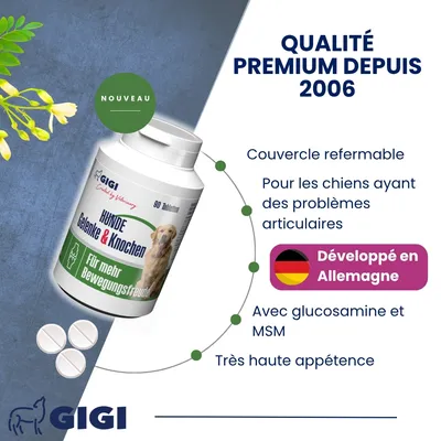 GIGI VET Articulations Chiens – Mobilité & Soutien – MSM & Boswellia