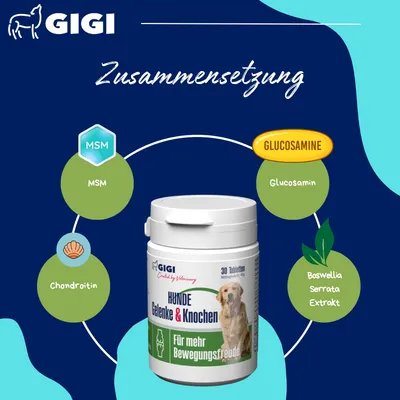 Hunde Gelenke & Knochen Mit MSM & Weihrauchextrakt GIGI VET