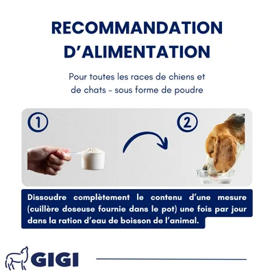GIGI VET Dentaire Chiens & Chats – Anti-Plaque & Haleine Fraîche