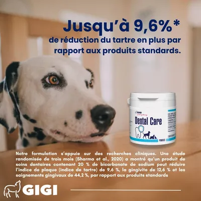 GIGI VET Dentaire Chiens & Chats – Anti-Plaque & Haleine Fraîche