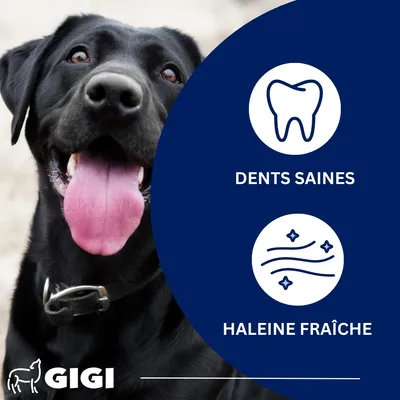 GIGI VET Dentaire Chiens & Chats – Anti-Plaque & Haleine Fraîche