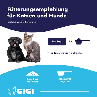 DENTAL CARE gegen Zahnbelag Zahnstein & Mundgeruch GIGI VET
