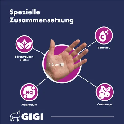 Harn & Blase unterstützt gezielt die Gesundheit des Harntrakts GIGI VET Harn & Blase unterstützt gezielt die Gesundheit des Harntrakts GIGI VET