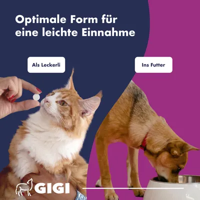 Harn & Blase unterstützt gezielt die Gesundheit des Harntrakts GIGI VET Harn & Blase unterstützt gezielt die Gesundheit des Harntrakts GIGI VET