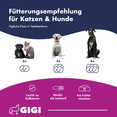 Harn & Blase unterstützt gezielt die Gesundheit des Harntrakts GIGI VET Harn & Blase unterstützt gezielt die Gesundheit des Harntrakts GIGI VET