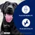 GIGI VET Articulations Chiens – Mobilité & Soutien – MSM & Boswellia