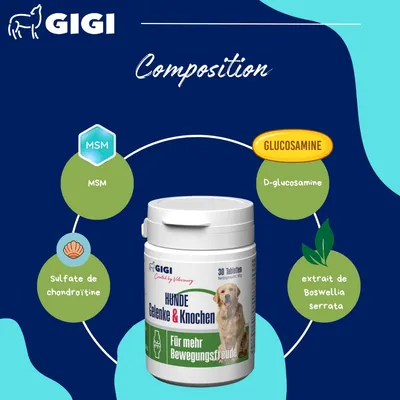 GIGI VET Articulations Chiens – Mobilité & Soutien – MSM & Boswellia
