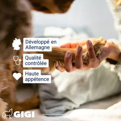 GIGI VET Articulations Chiens – Mobilité & Soutien – MSM & Boswellia