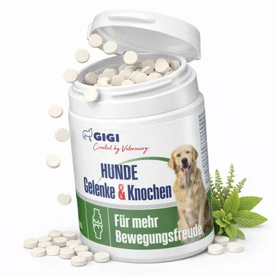 Articulations Chiens – Mobilité & Soutien GIGI VET