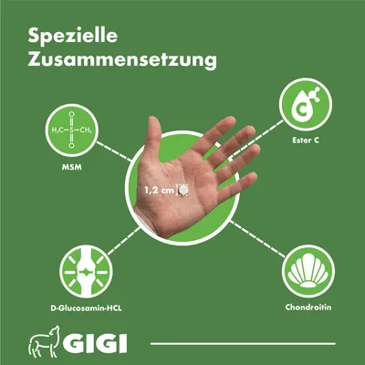 Katzen Gelenke & Knochen Mehr Lebensfreude & Beweglichkeit GIGI VET
