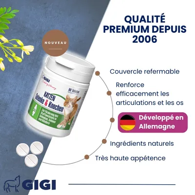 Soutien Articulaire Chats 60 comprimés GIGI VET