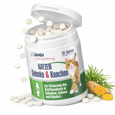 Soutien Articulaire Chats 60 comprimés GIGI VET